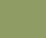 Color - Clay Green.jjpg